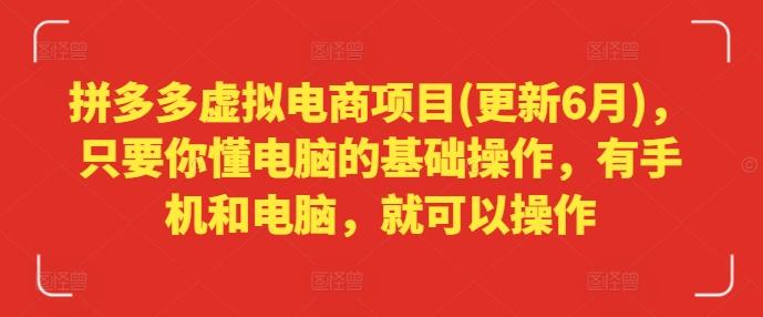 拼多多虚拟电商项目(更新6月)，只要你懂电脑的基础操作，有手机和电脑，就可以操作-泡泡网赚