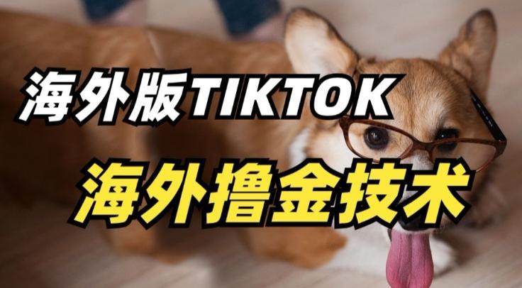 抖音海外版tiktok撸金技术，这个风口行业，赚钱真的不难【揭秘】-泡泡网赚