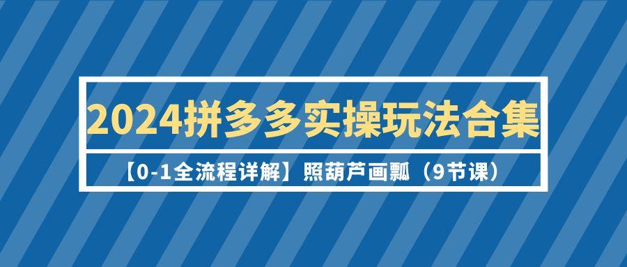 (9559期)2024拼多多实操玩法合集【0-1全流程详解】照葫芦画瓢(9节课)-泡泡网赚