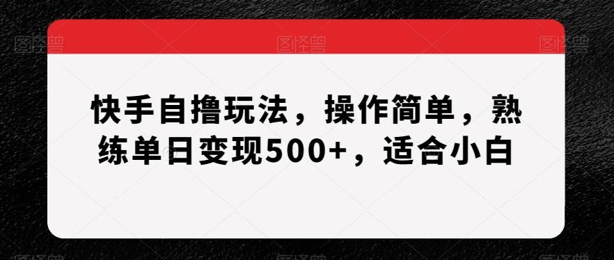 快手自撸玩法，操作简单，熟练单日变现500+，适合小白【揭秘】-泡泡网赚