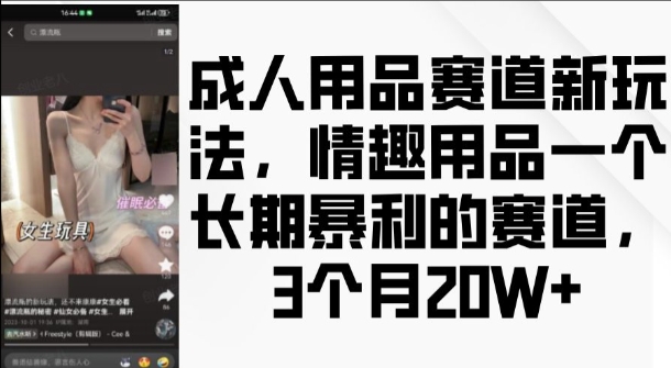 成人用品赛道新玩法，情趣用品一个长期暴利的赛道，3个月收益20个【揭秘】-泡泡网赚