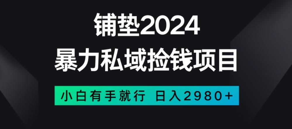 暴力私域捡钱项目，小白无脑操作，日入2980【揭秘】-泡泡网赚