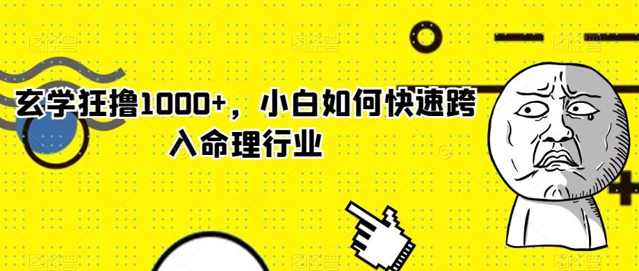 玄学狂撸1000+，小白如何快速跨入命理行业-泡泡网赚