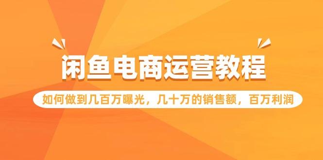 (9560期)闲鱼电商运营教程：如何做到几百万曝光，几十万的销售额，百万利润-泡泡网赚