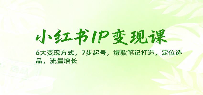 小红书IP变现课：6大变现方式，7步起号，爆款笔记打造，定位选品，流量增长-泡泡网赚