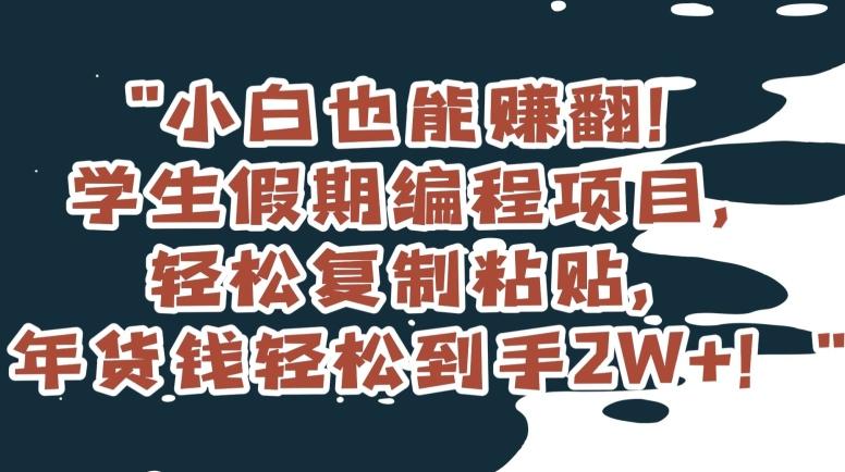 小白也能赚翻！学生假期编程项目，轻松复制粘贴，年货钱轻松到手2W+【揭秘】-泡泡网赚