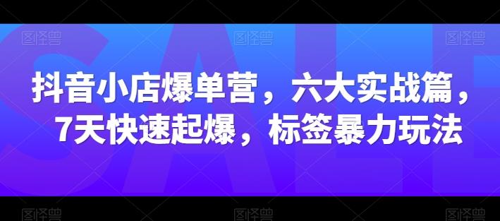 抖音小店爆单营，六大实战篇，7天快速起爆，标签暴力玩法-泡泡网赚