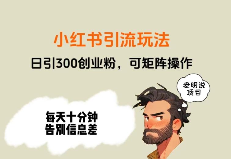 靠小红书视频日印300粉，两分钟一个视频轻松矩阵-泡泡网赚