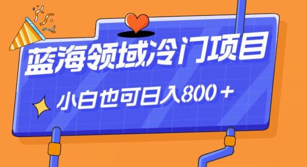 蓝海领域冷门赛道，一单39.9，日入800＋-泡泡网赚