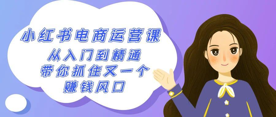 2024小红书-电商运营课，从入门到精通，带你抓住又一个赚钱风口(50节课)-泡泡网赚