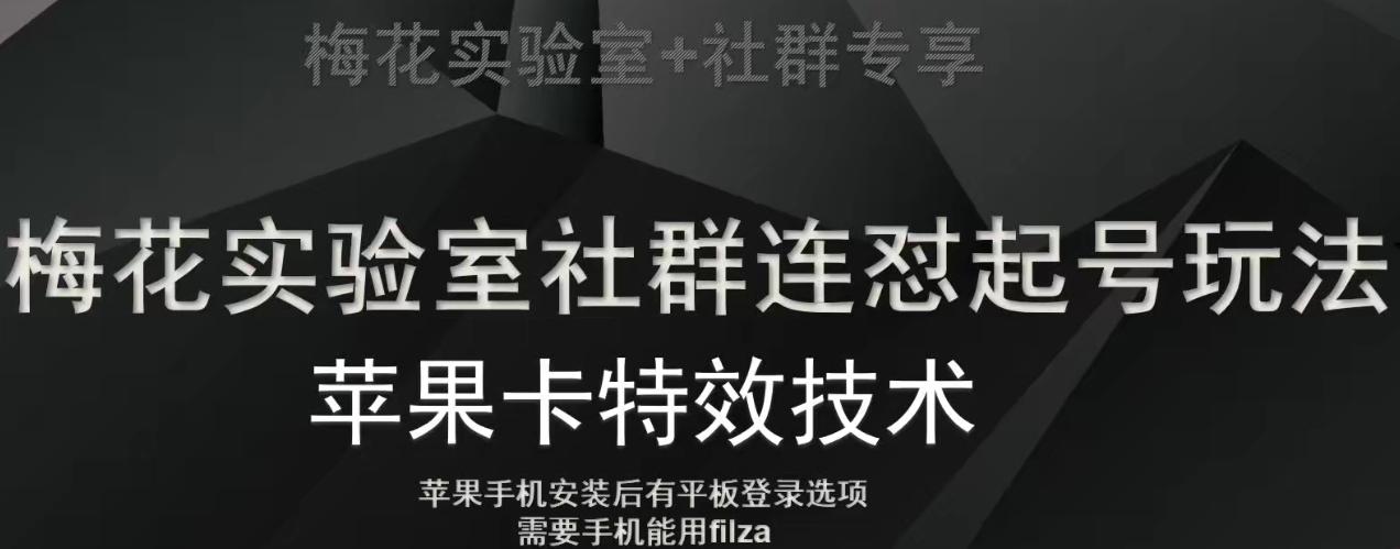 梅花实验室社群视频号连怼起号玩法，最新苹果卡特效技术-泡泡网赚