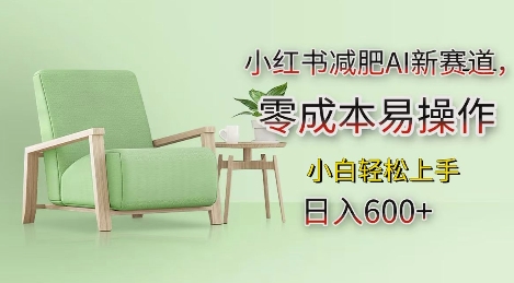 小红书减肥AI新赛道，零成本易操作，日入多张，小白轻松上手【揭秘】-泡泡网赚