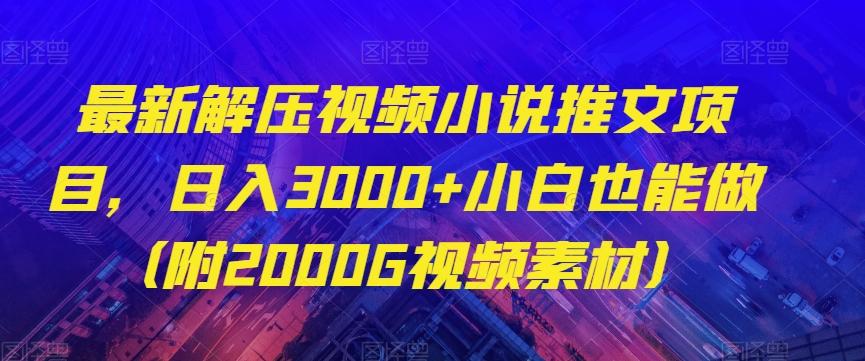 最新解压视频小说推文项目，日入3000+小白也能做（附2000G视频素材）【揭秘】-泡泡网赚
