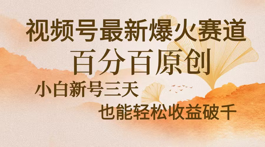 视频号最新爆火赛道，中老年粉深信不疑，百分百原创，新号三天收益轻松…-泡泡网赚