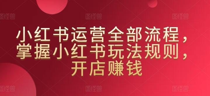 小红书运营全部流程，掌握小红书玩法规则，开店赚钱-泡泡网赚