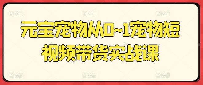 元宝宠物从0~1宠物短视频带货实战课-泡泡网赚