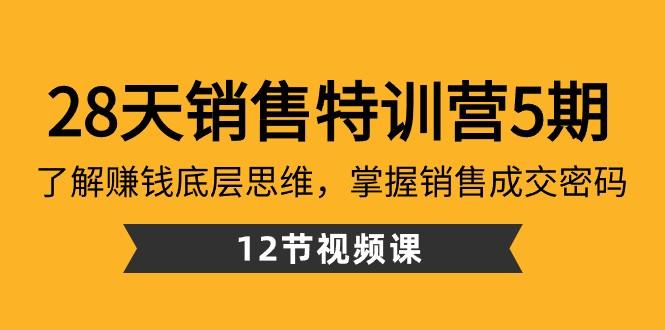 28天销售特训营5期：了解赚钱底层思维，掌握销售成交密码（12节课）-泡泡网赚