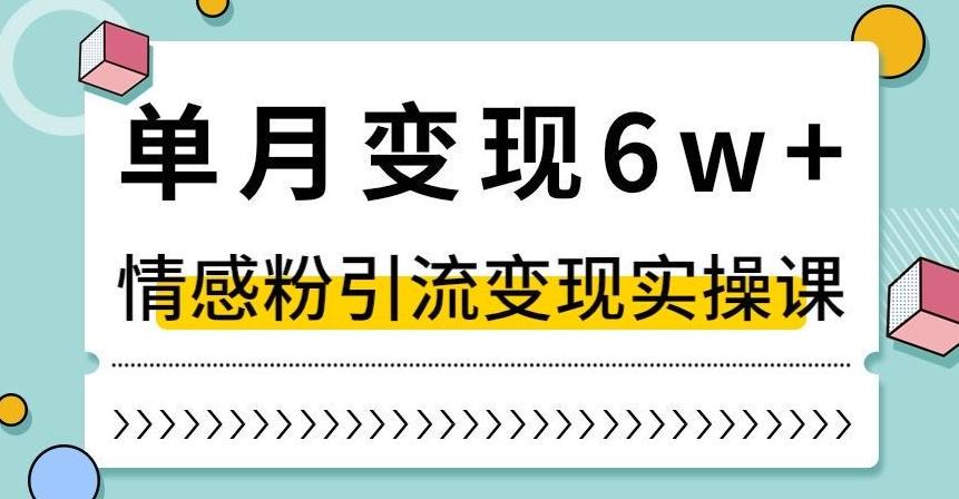 单月变现6W+，抖音情感粉引流变现实操课，小白可做，轻松上手，独家赛道【揭秘】-泡泡网赚