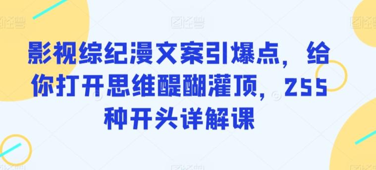 影视综纪漫文案引爆点，给你打开思维醍醐灌顶，255种开头详解课-泡泡网赚