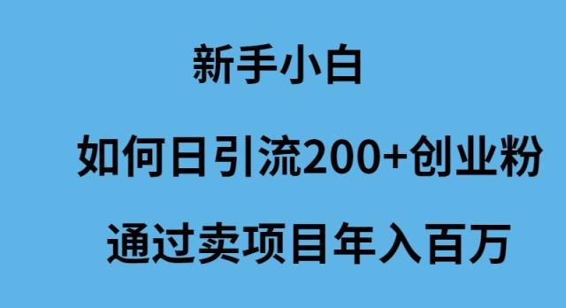 (9668期)新手小白如何日引流200+创业粉通过卖项目年入百万-泡泡网赚