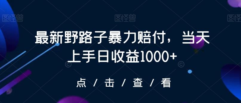 最新野路子暴力赔付，当天上手日收益1000+【仅揭秘】-泡泡网赚