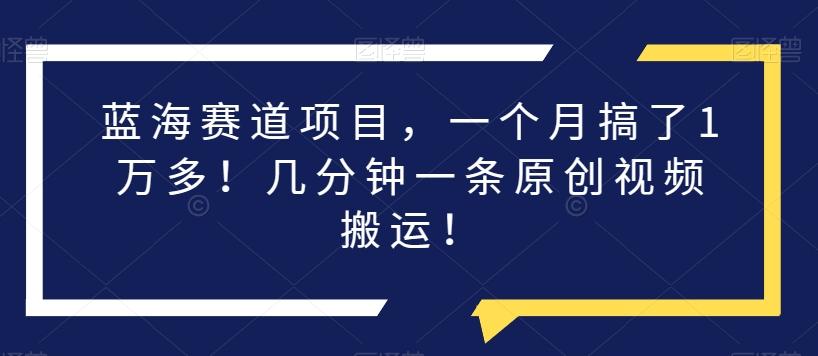 蓝海赛道项目，一个月搞了1万多！几分钟一条原创视频搬运！-泡泡网赚