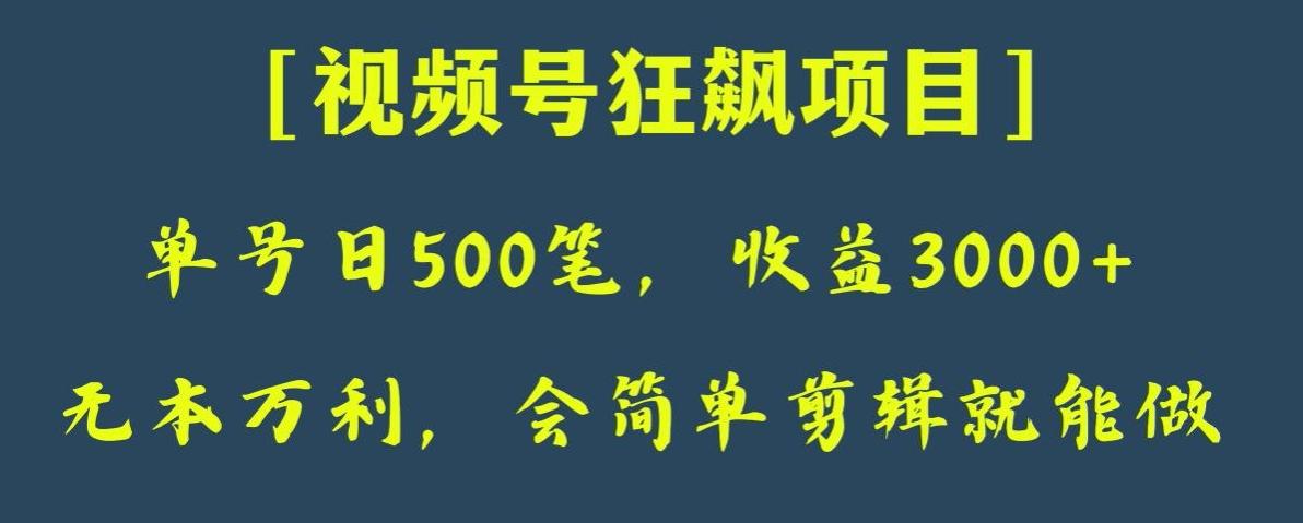 日收款500笔，纯利润3000+，视频号狂飙项目，会简单剪辑就能做【揭秘】-泡泡网赚