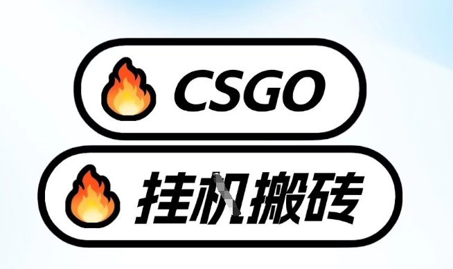 真全网独家CSGO挂G，最新玩法,单日捡漏1K+，不用电脑，不用打游戏【揭秘】-泡泡网赚