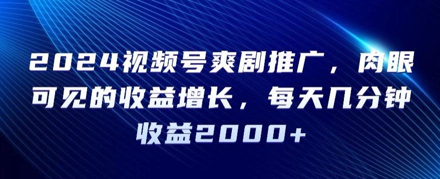 2024视频号爽剧推广，肉眼可见的收益增长，每天几分钟收益2000+【揭秘】-泡泡网赚
