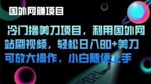 冷门撸美刀项目，利用国外网站刷视频，轻松日入80+美刀，可放大操作，小白随便上手-泡泡网赚