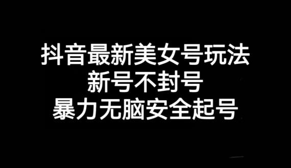 抖音最新美女号玩法，新号不封号，暴力无脑安全起号【揭秘】-泡泡网赚