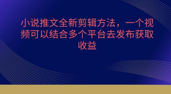 小说推文全新剪辑方法，一个视频可以结合多个平台去发布获取【揭秘】-泡泡网赚