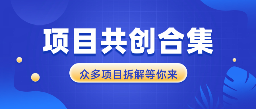 项目共创合集，从0-1全过程拆解，让你迅速找到适合自已的项目-泡泡网赚