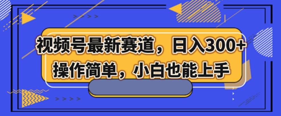 视频号最新赛道，日入300+，新手小白轻松掌握-泡泡网赚