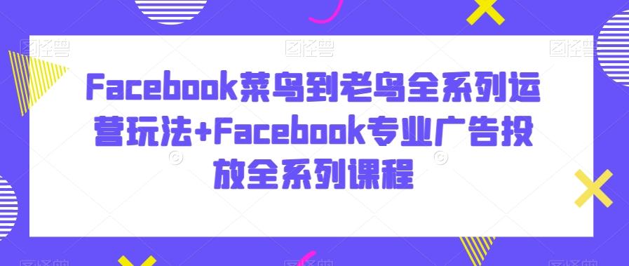 Facebook菜鸟到老鸟全系列运营玩法+Facebook专业广告投放全系列课程-泡泡网赚