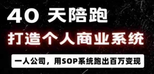 40天陪跑打造个人商业系统，一人公司，用SOP系统跑出百W变现-泡泡网赚