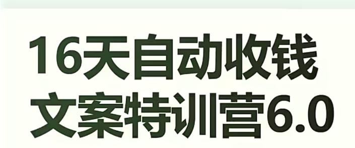 16天自动收钱文案特训营6.0，学会儿每天自动咔咔收钱-泡泡网赚
