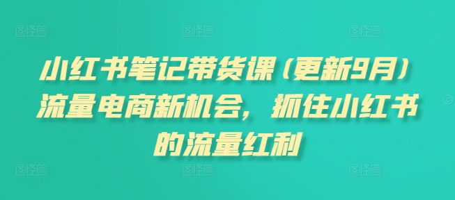 小红书笔记带货课(更新25年9月)流量电商新机会，抓住小红书的流量红利-泡泡网赚