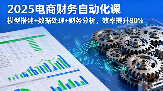 2025电商财务自动化课，模型搭建+数据处理+财务分析，效率提升80%-泡泡网赚