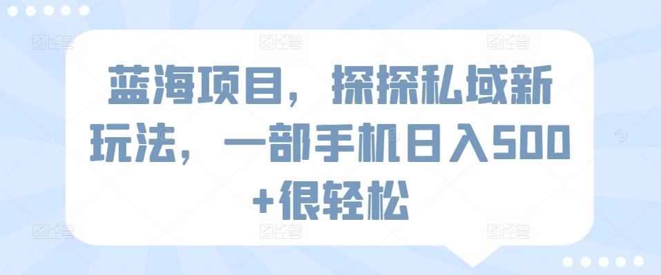 蓝海项目，探探私域新玩法，一部手机日入500+很轻松【揭秘】-泡泡网赚