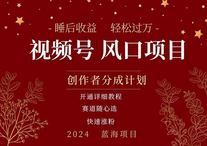 拥有睡眠收益的微信视频号大风口项目，轻松月入过万+，多赛道选择，可…-泡泡网赚