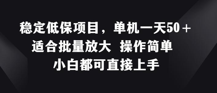 稳定低保项目，单机一天50+适合批量放大 操作简单 小白都可直接上手【揭秘】-泡泡网赚