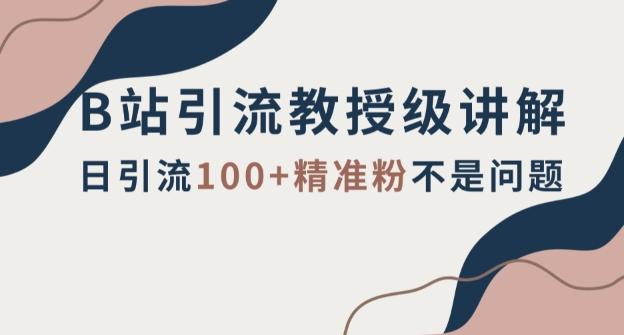 B站引流教授级讲解，细节满满，日引流100+精准粉不是问题【揭秘】-泡泡网赚