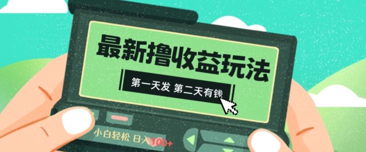 2024最新撸视频收益玩法，第一天发，第二天就有钱-泡泡网赚
