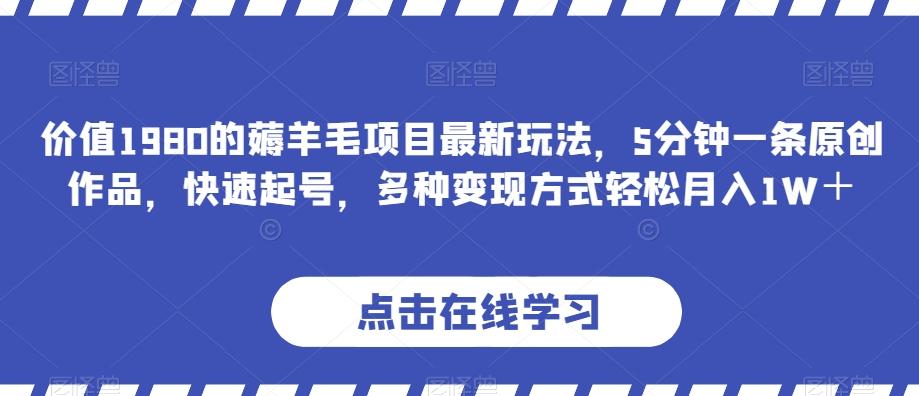 价值1980的薅羊毛项目最新玩法，5分钟一条原创作品，快速起号，多种变现方式轻松月入1W＋【揭秘】-泡泡网赚