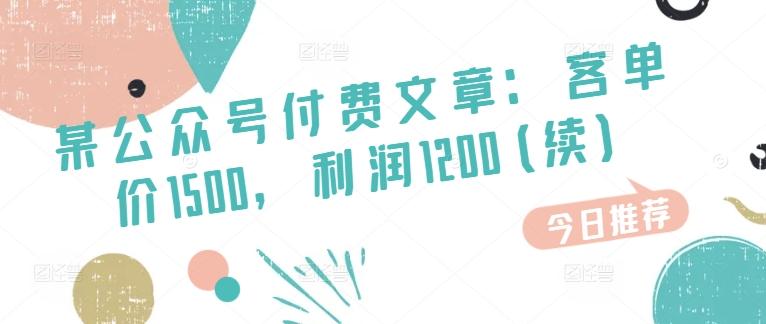 某公众号付费文章：客单价1500，利润1200(续)，市场几乎可以说是空白的-泡泡网赚