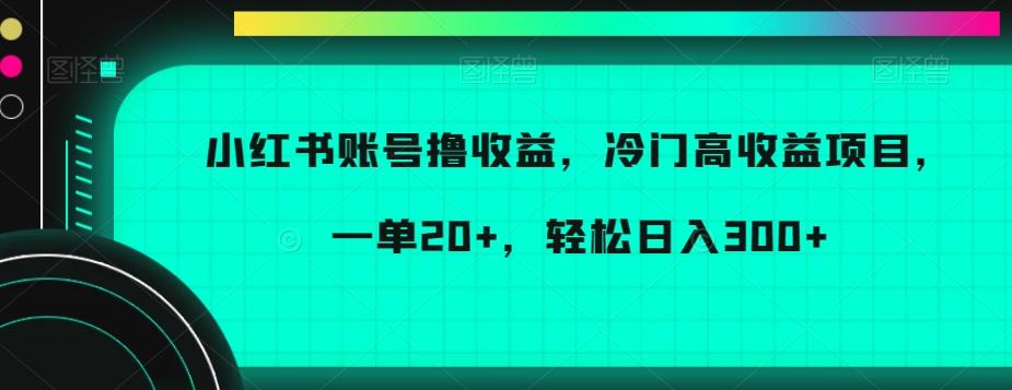 小红书账号撸收益，冷门高收益项目，一单20+，轻松日入300+【揭秘】-泡泡网赚
