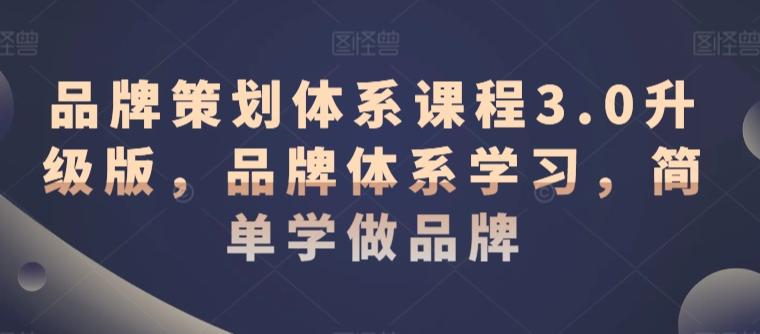 品牌策划体系课程3.0升级版，品牌体系学习，简单学做品牌-泡泡网赚