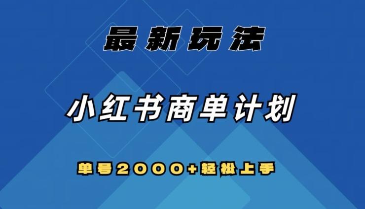 全网首发，小红书商单计划最新玩法，单号2000+可扩大可复制【揭秘】-泡泡网赚