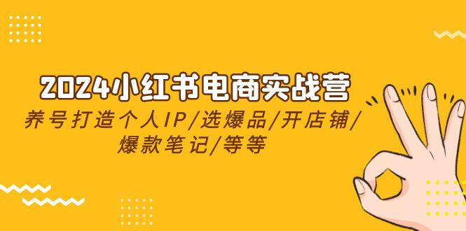 2024小红书电商实战营，养号打造IP/选爆品/开店铺/爆款笔记/等等(24节)-泡泡网赚
